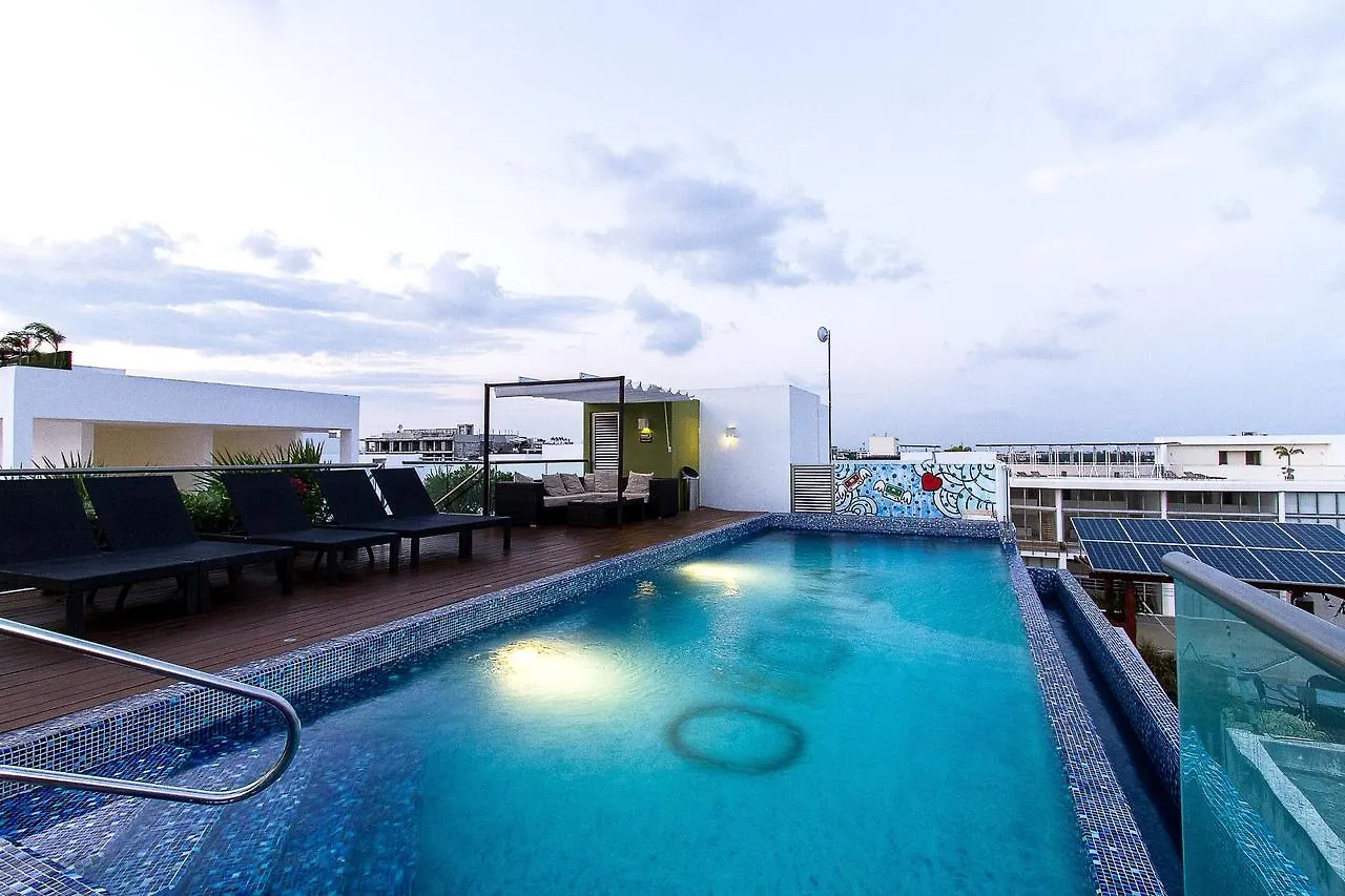 Studio One Luxury Apartments By Imexico contacts